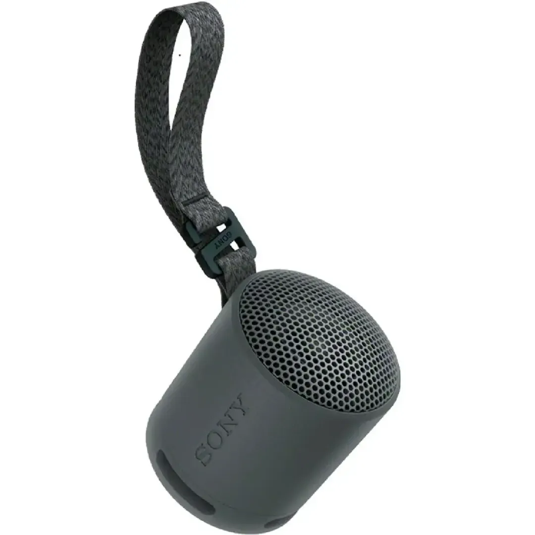 Portativnaya akustika Sony SRS-XB100, black